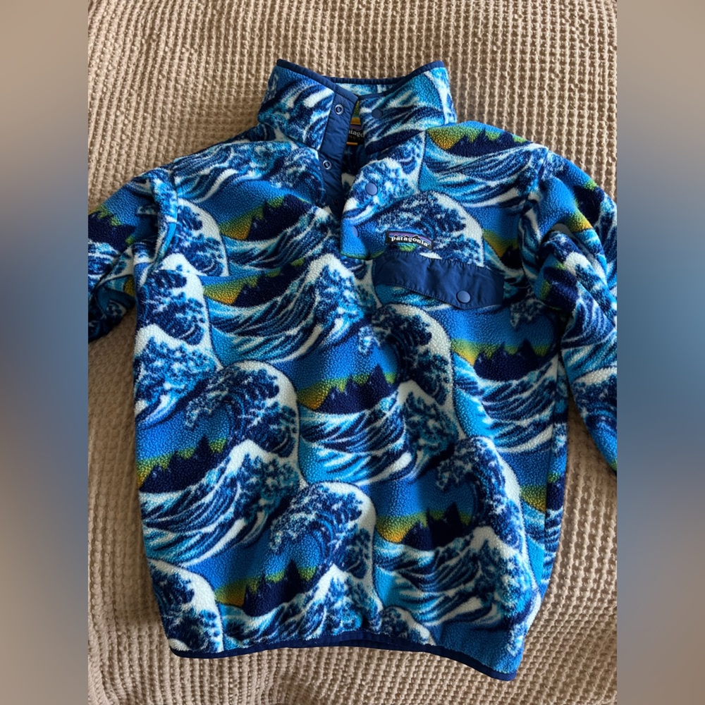 Patagonia Fitz Roy Wave Synchilla (rare)